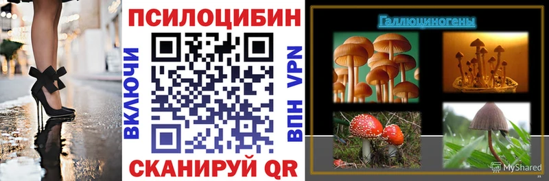 Галлюциногенные грибы ЛСД  закладка  Камышлов 
